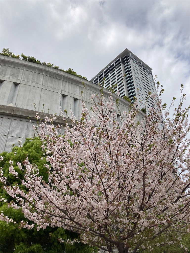 f:id:masaru-arameya:20210405091110j:image f:id:masaru-arameya:20210405091110j:image