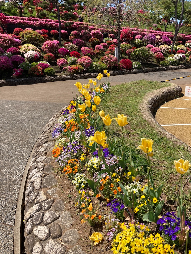 f:id:masaru-arameya:20210411151152j:image f:id:masaru-arameya:20210411151152j:image