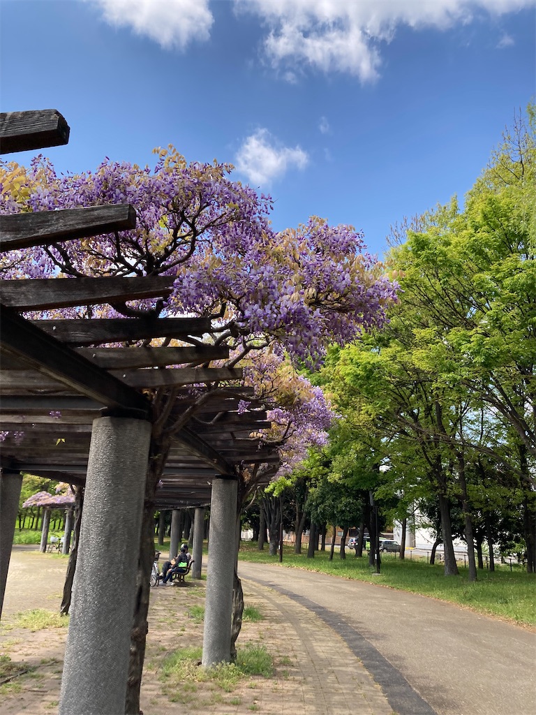 f:id:masaru-arameya:20210411152126j:image f:id:masaru-arameya:20210411152126j:image