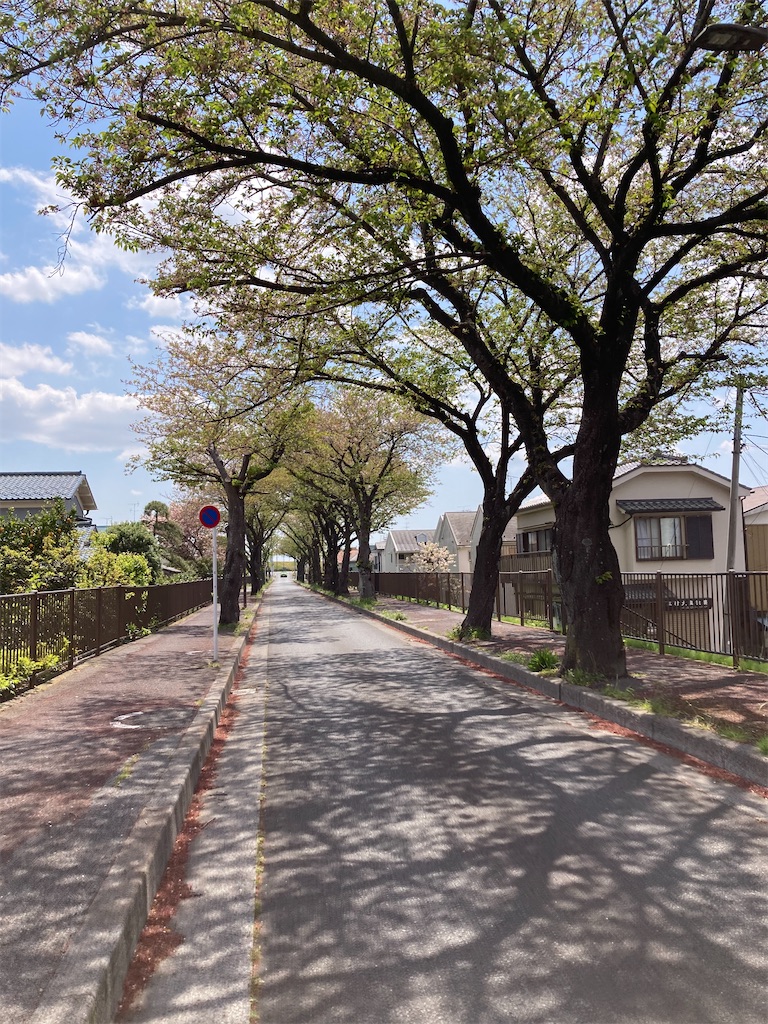 f:id:masaru-arameya:20210411152606j:image f:id:masaru-arameya:20210411152606j:image