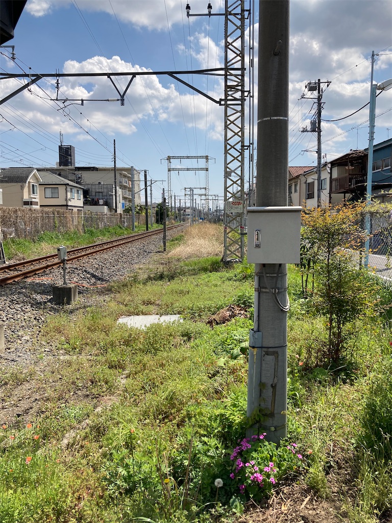 f:id:masaru-arameya:20210411152944j:image f:id:masaru-arameya:20210411152944j:image