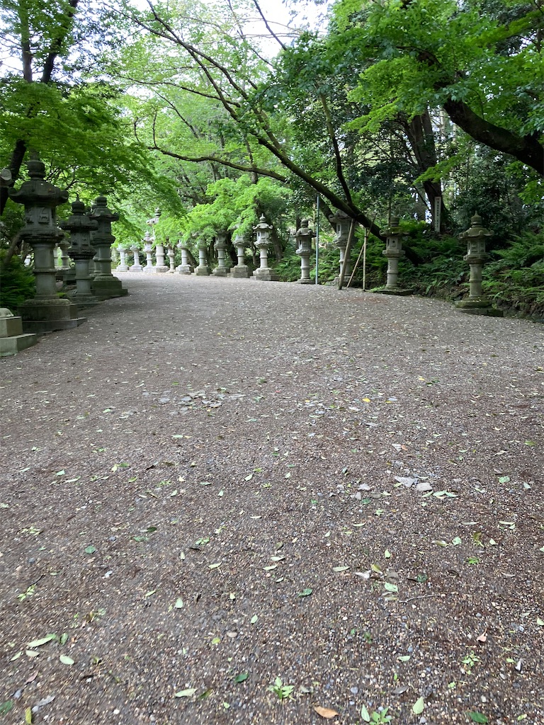 f:id:masaru-arameya:20210419094022j:image f:id:masaru-arameya:20210419094022j:image