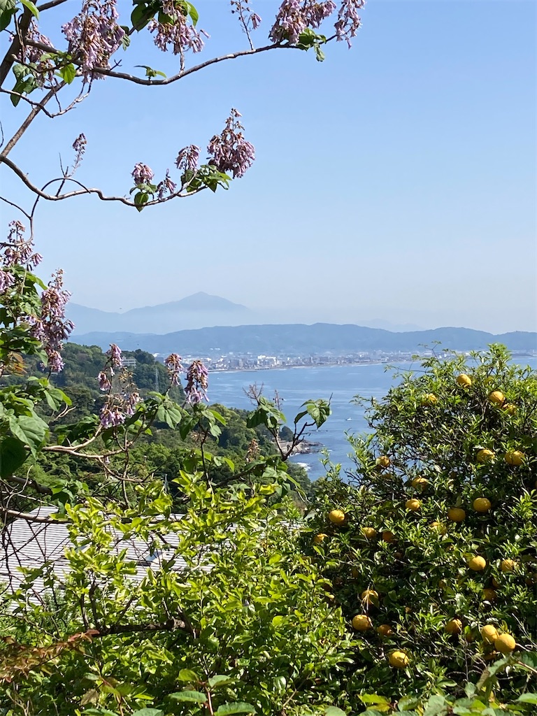 f:id:masaru-arameya:20210508202157j:image f:id:masaru-arameya:20210508202157j:image