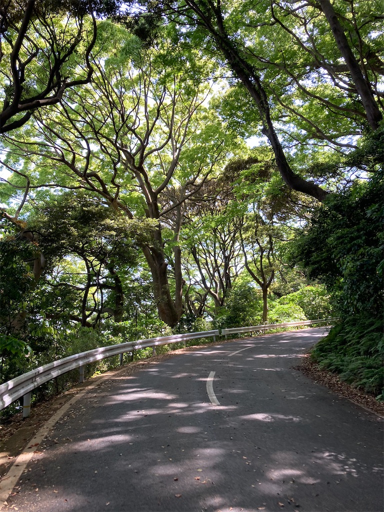 f:id:masaru-arameya:20210508202840j:image f:id:masaru-arameya:20210508202840j:image