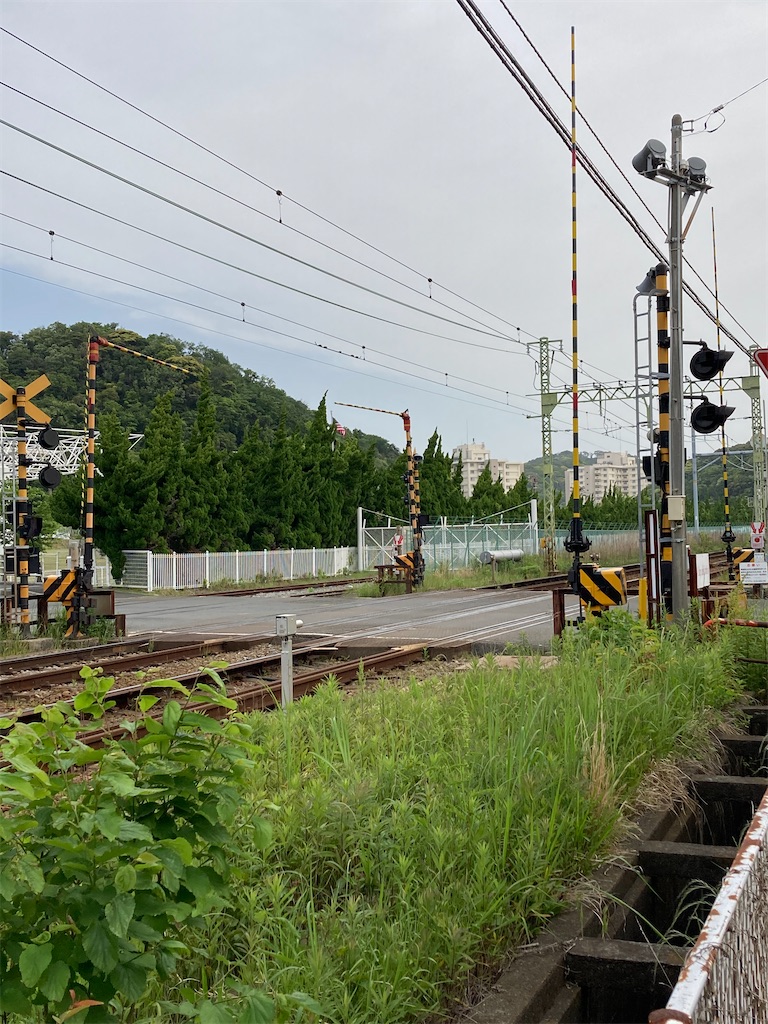 f:id:masaru-arameya:20210509135703j:image f:id:masaru-arameya:20210509135703j:image