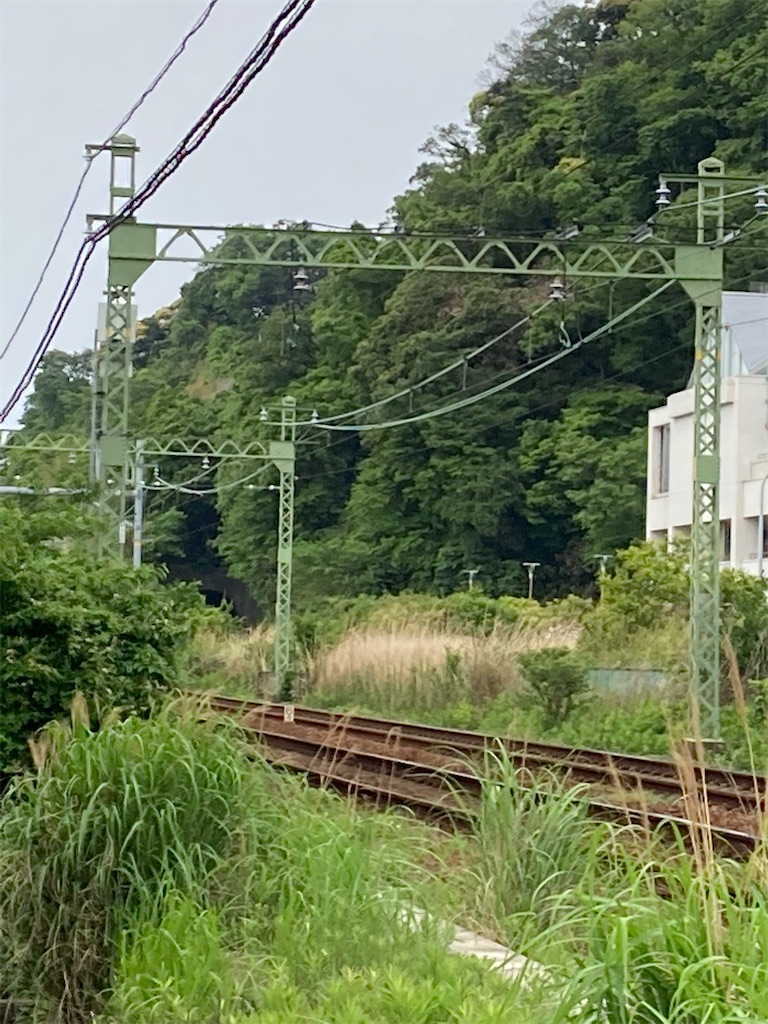 f:id:masaru-arameya:20210509135707j:image f:id:masaru-arameya:20210509135707j:image