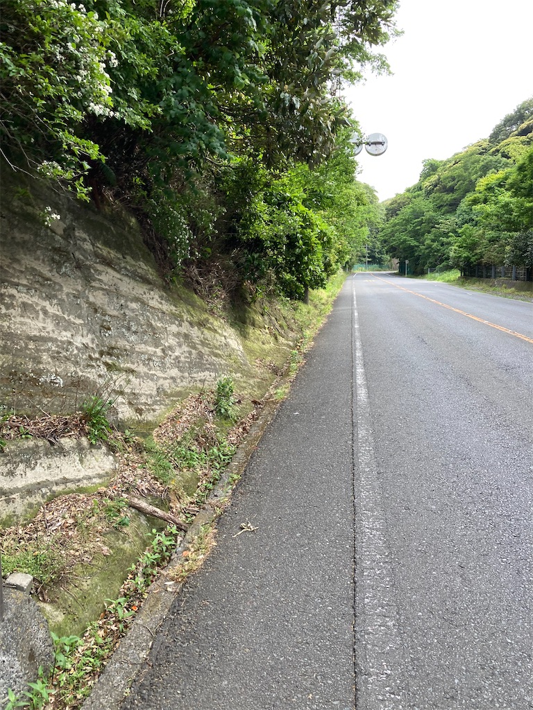 f:id:masaru-arameya:20210509140144j:image f:id:masaru-arameya:20210509140144j:image