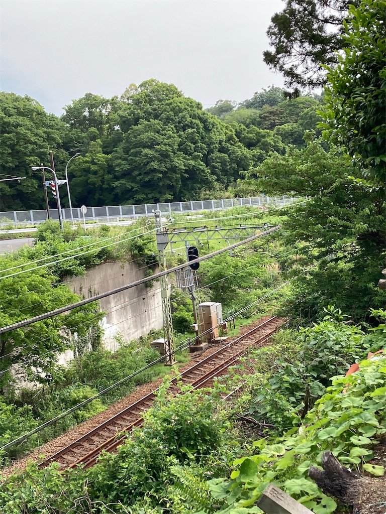 f:id:masaru-arameya:20210509140650j:image f:id:masaru-arameya:20210509140650j:image