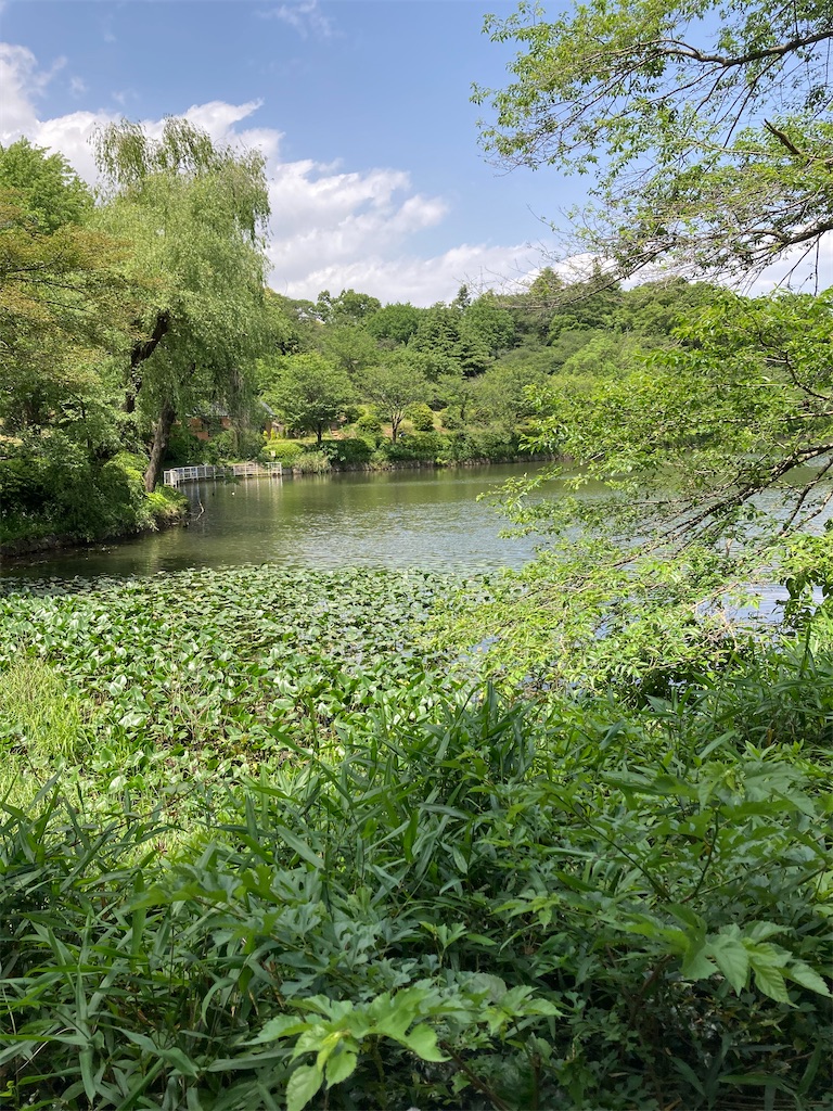 f:id:masaru-arameya:20210510132301j:image f:id:masaru-arameya:20210510132301j:image