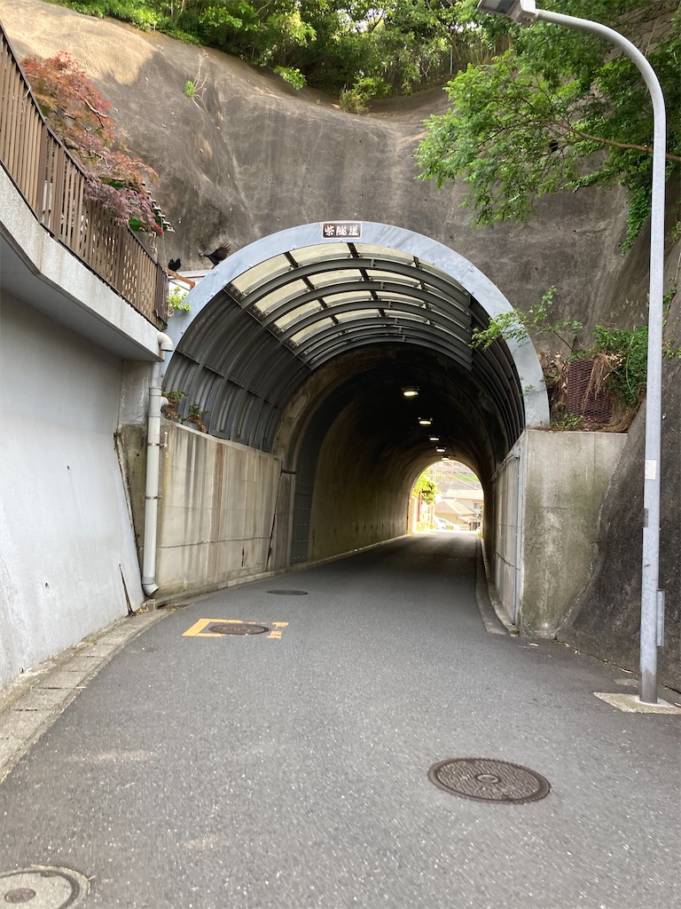 f:id:masaru-arameya:20210511140137j:image f:id:masaru-arameya:20210511140137j:image