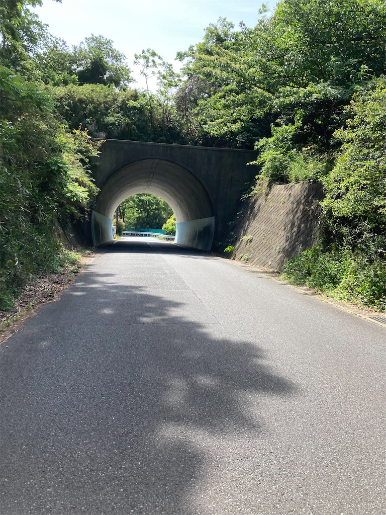 f:id:masaru-arameya:20210511140413j:image f:id:masaru-arameya:20210511140413j:image