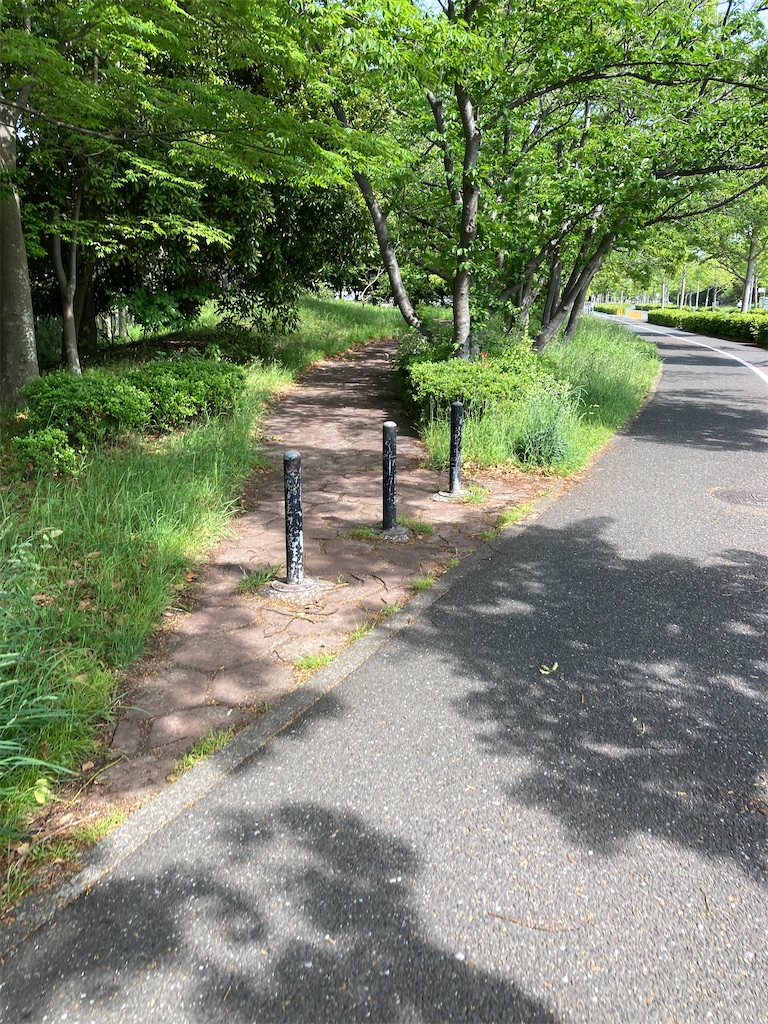 f:id:masaru-arameya:20210511140500j:image f:id:masaru-arameya:20210511140500j:image