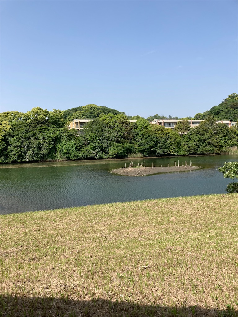 f:id:masaru-arameya:20210511140638j:image f:id:masaru-arameya:20210511140638j:image
