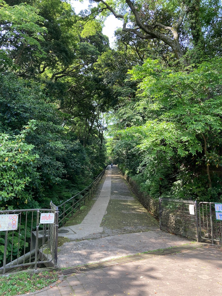 f:id:masaru-arameya:20210511141040j:image f:id:masaru-arameya:20210511141040j:image