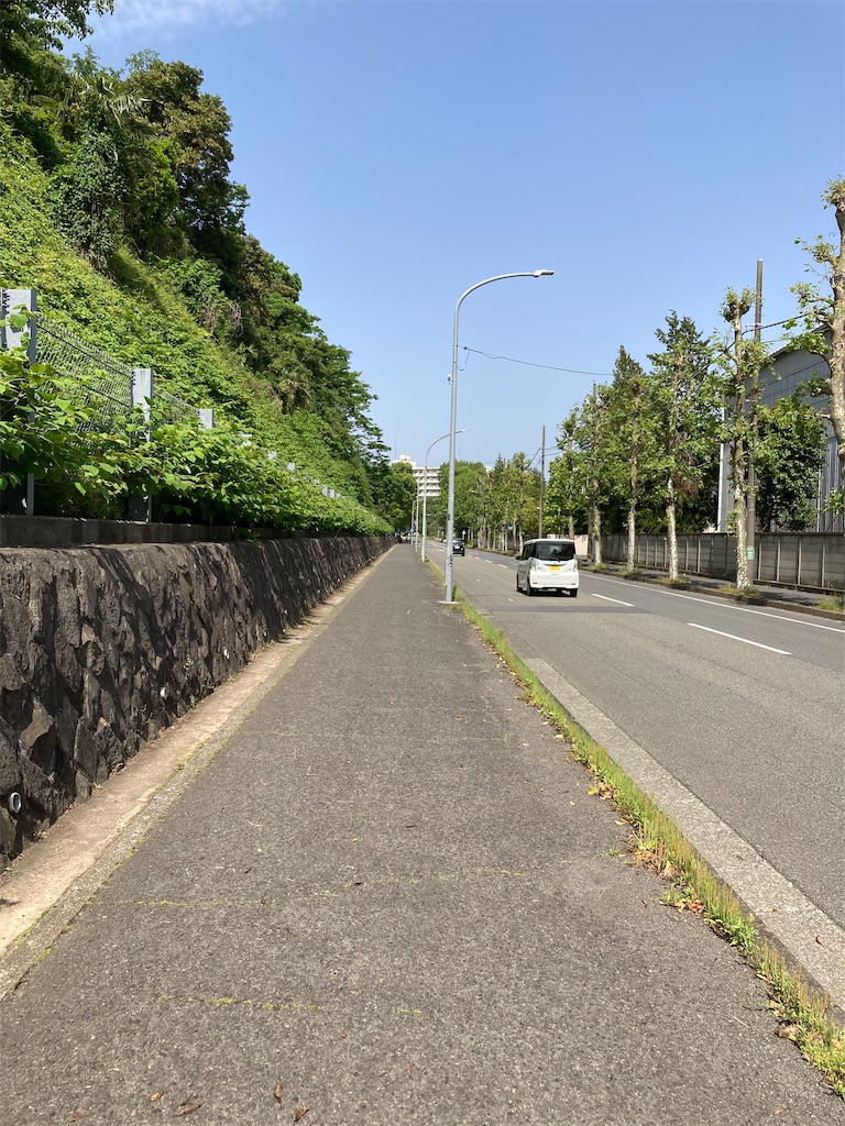 f:id:masaru-arameya:20210511141043j:image f:id:masaru-arameya:20210511141043j:image