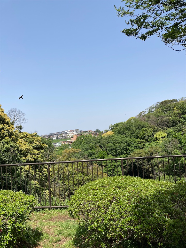 f:id:masaru-arameya:20210511141826j:image f:id:masaru-arameya:20210511141826j:image