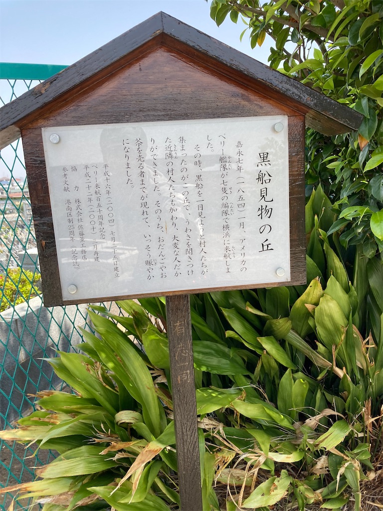 f:id:masaru-arameya:20210511142020j:image f:id:masaru-arameya:20210511142020j:image