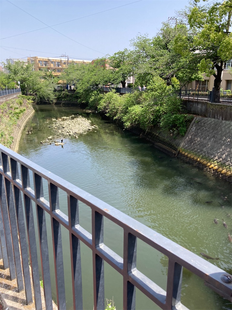 f:id:masaru-arameya:20210511142409j:image f:id:masaru-arameya:20210511142409j:image