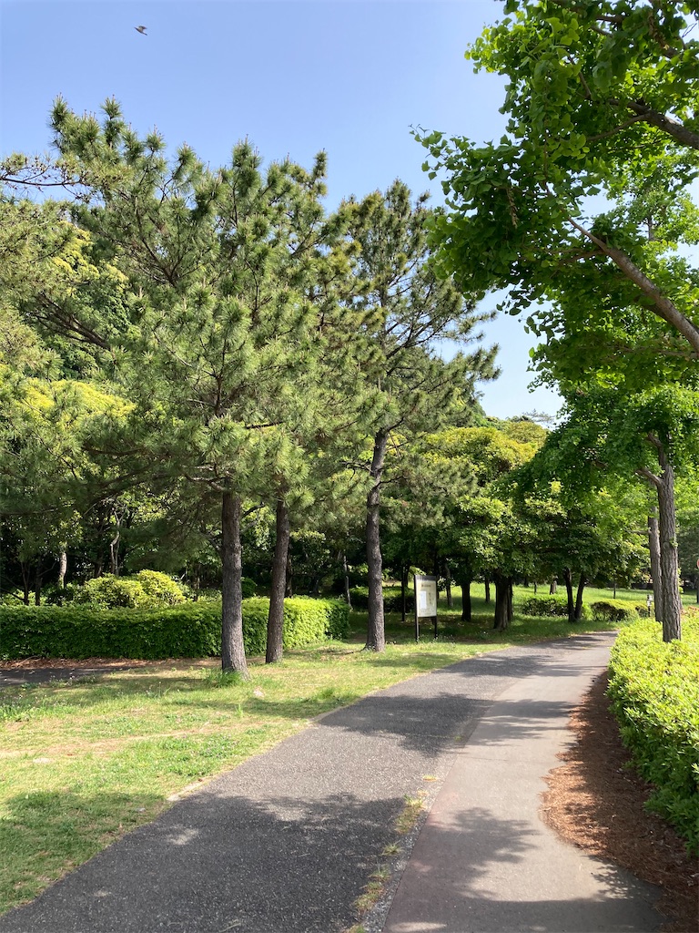 f:id:masaru-arameya:20210511150225j:image f:id:masaru-arameya:20210511150225j:image
