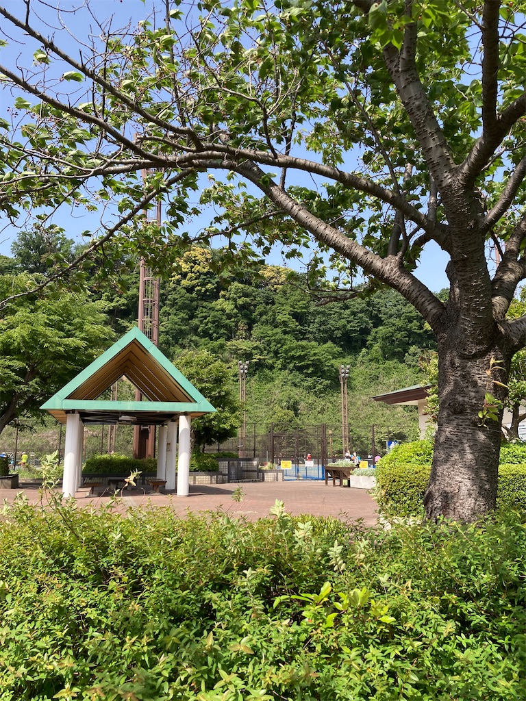 f:id:masaru-arameya:20210511150229j:image f:id:masaru-arameya:20210511150229j:image