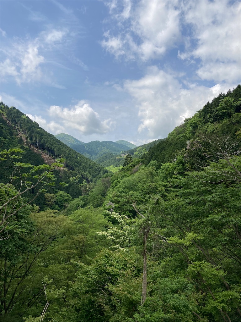 f:id:masaru-arameya:20210515191916j:image f:id:masaru-arameya:20210515191916j:image