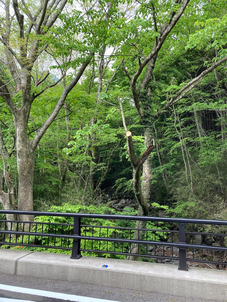 f:id:masaru-arameya:20210515192235j:image f:id:masaru-arameya:20210515192235j:image