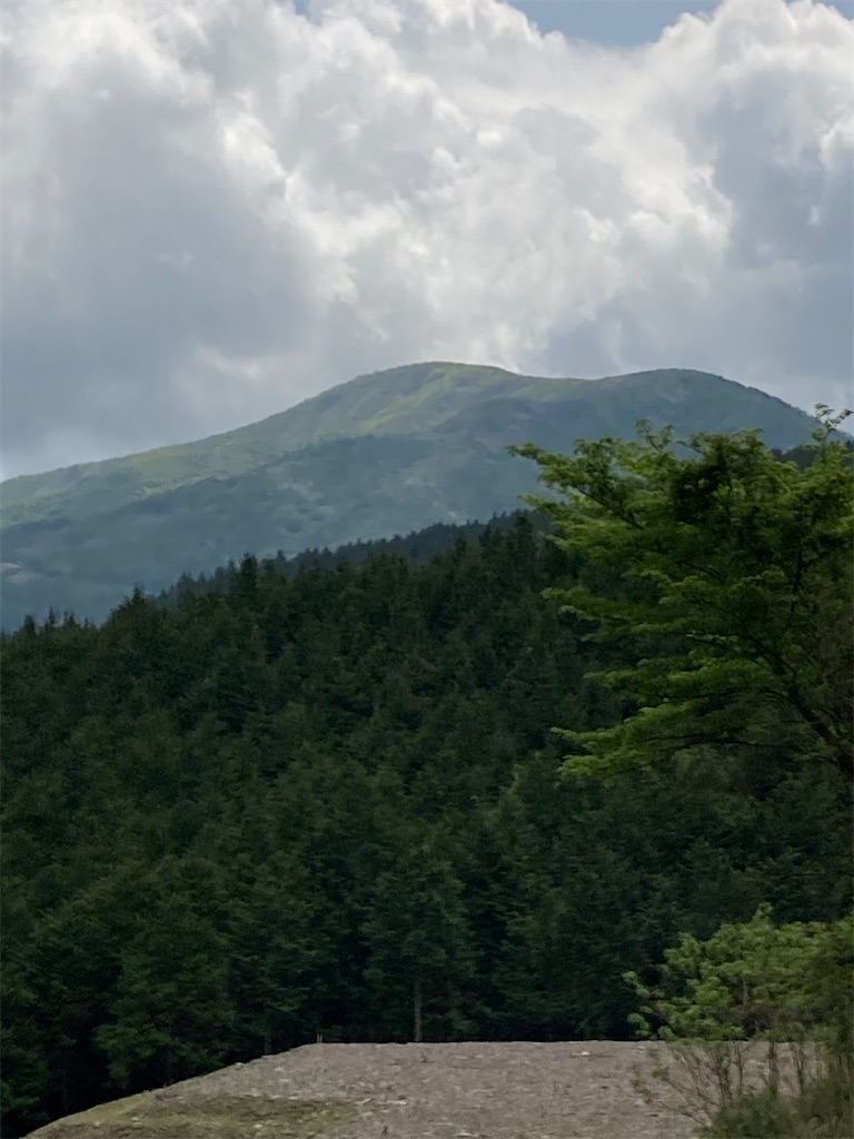 f:id:masaru-arameya:20210515192238j:image f:id:masaru-arameya:20210515192238j:image