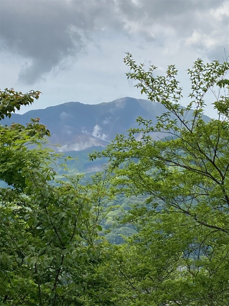 f:id:masaru-arameya:20210515193031j:image f:id:masaru-arameya:20210515193031j:image