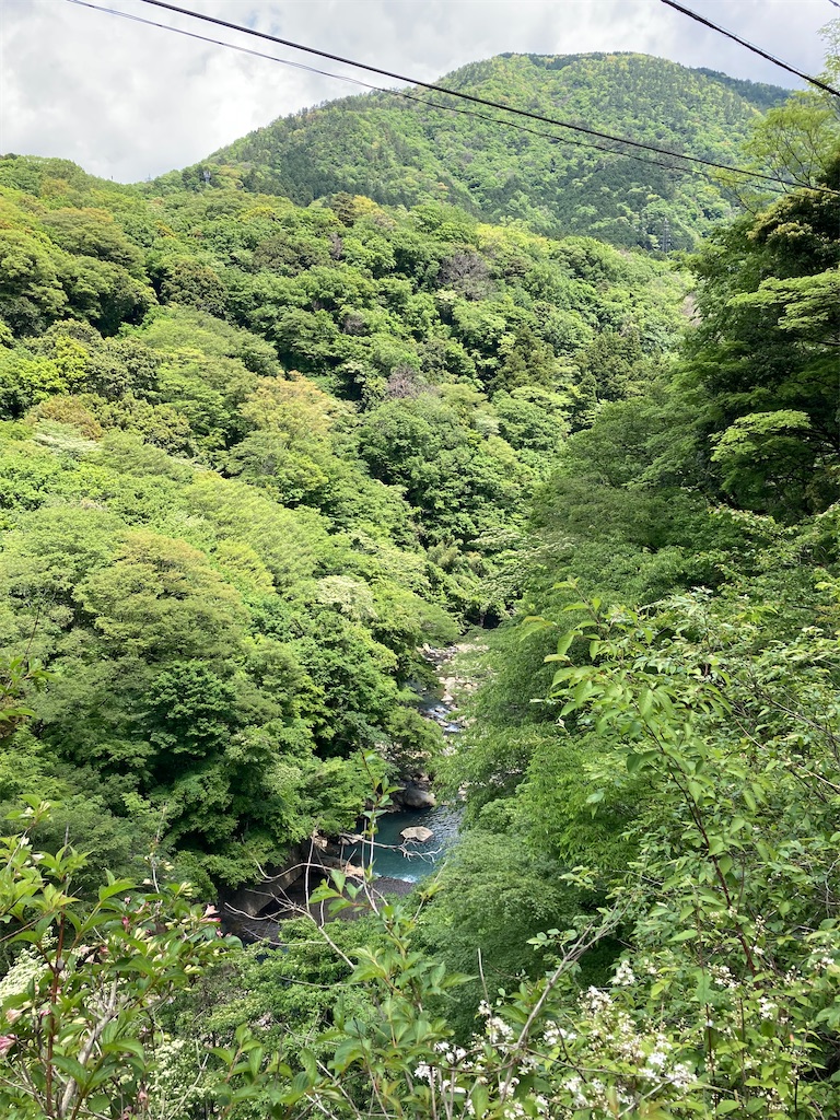 f:id:masaru-arameya:20210515193636j:image f:id:masaru-arameya:20210515193636j:image