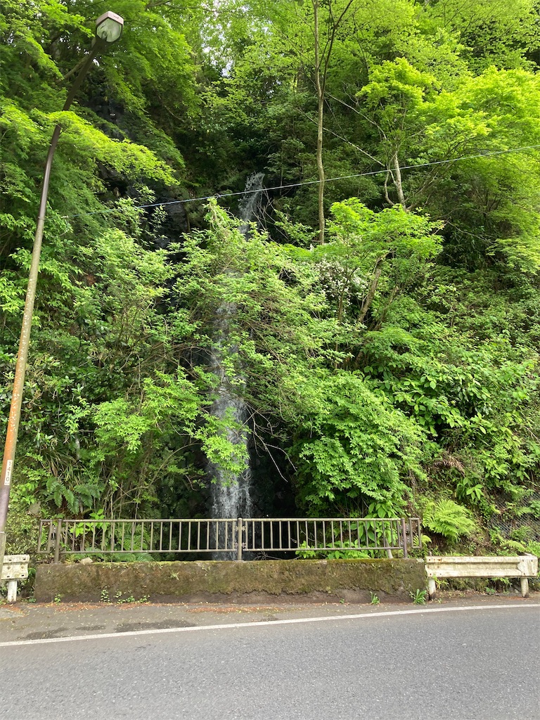 f:id:masaru-arameya:20210515193639j:image f:id:masaru-arameya:20210515193639j:image