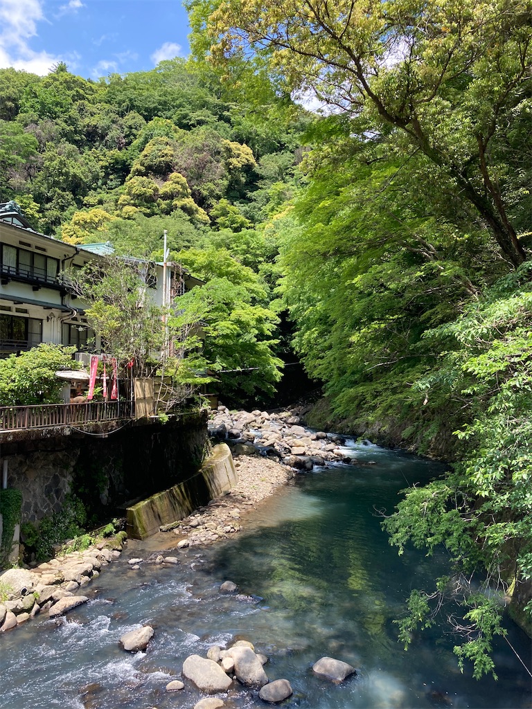 f:id:masaru-arameya:20210515194307j:image f:id:masaru-arameya:20210515194307j:image