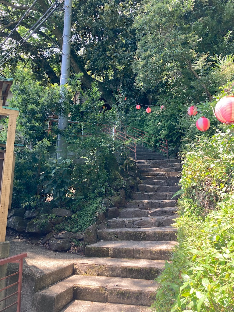 f:id:masaru-arameya:20210515194645j:image f:id:masaru-arameya:20210515194645j:image