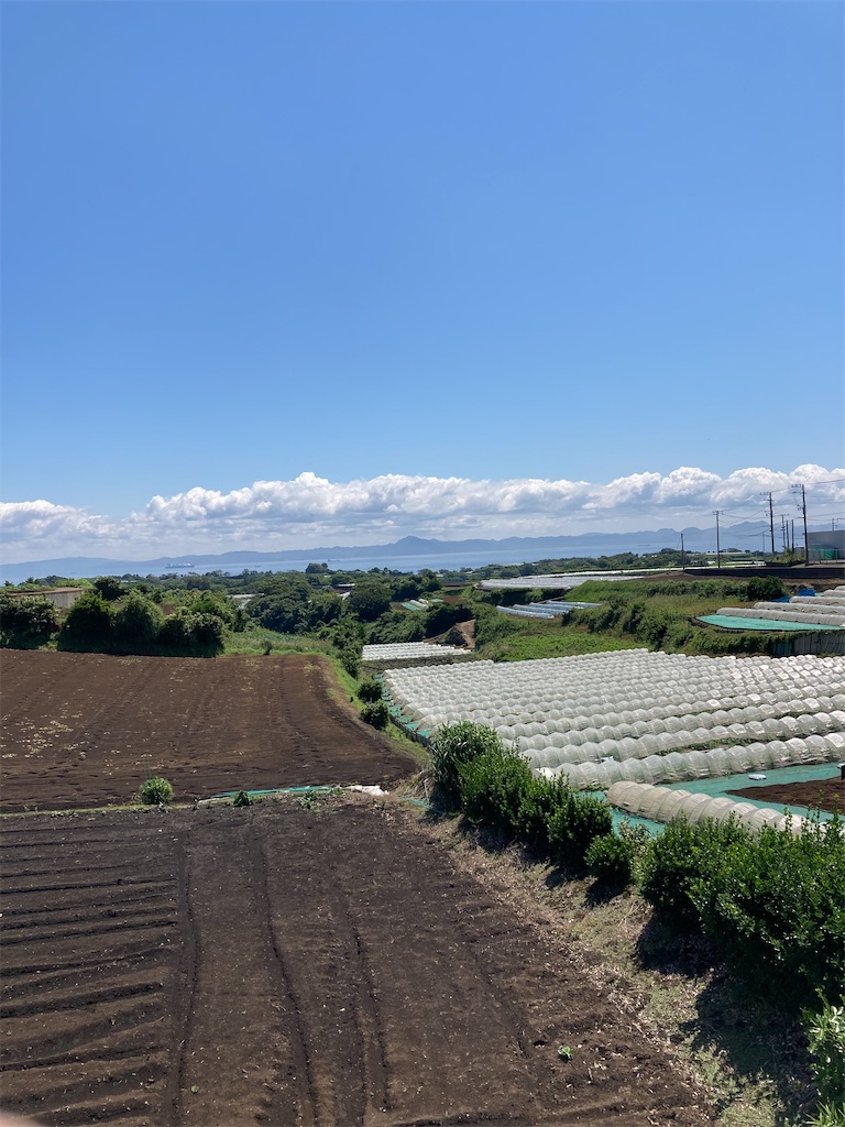 f:id:masaru-arameya:20210523174605j:image f:id:masaru-arameya:20210523174605j:image