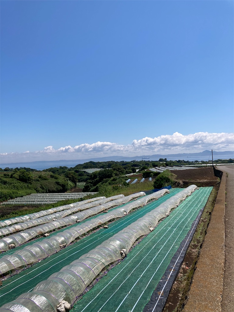 f:id:masaru-arameya:20210523174610j:image f:id:masaru-arameya:20210523174610j:image