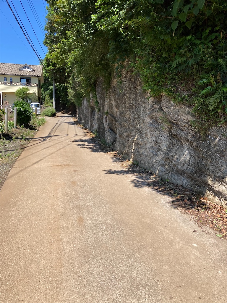 f:id:masaru-arameya:20210523174654j:image f:id:masaru-arameya:20210523174654j:image