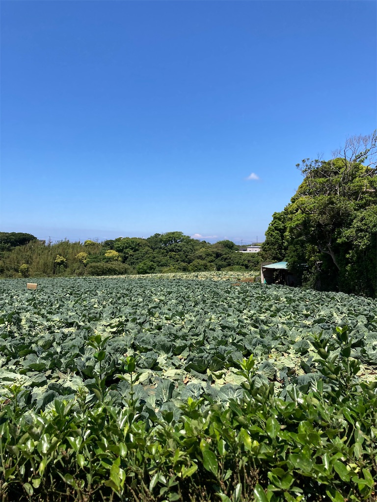 f:id:masaru-arameya:20210523175359j:image f:id:masaru-arameya:20210523175359j:image