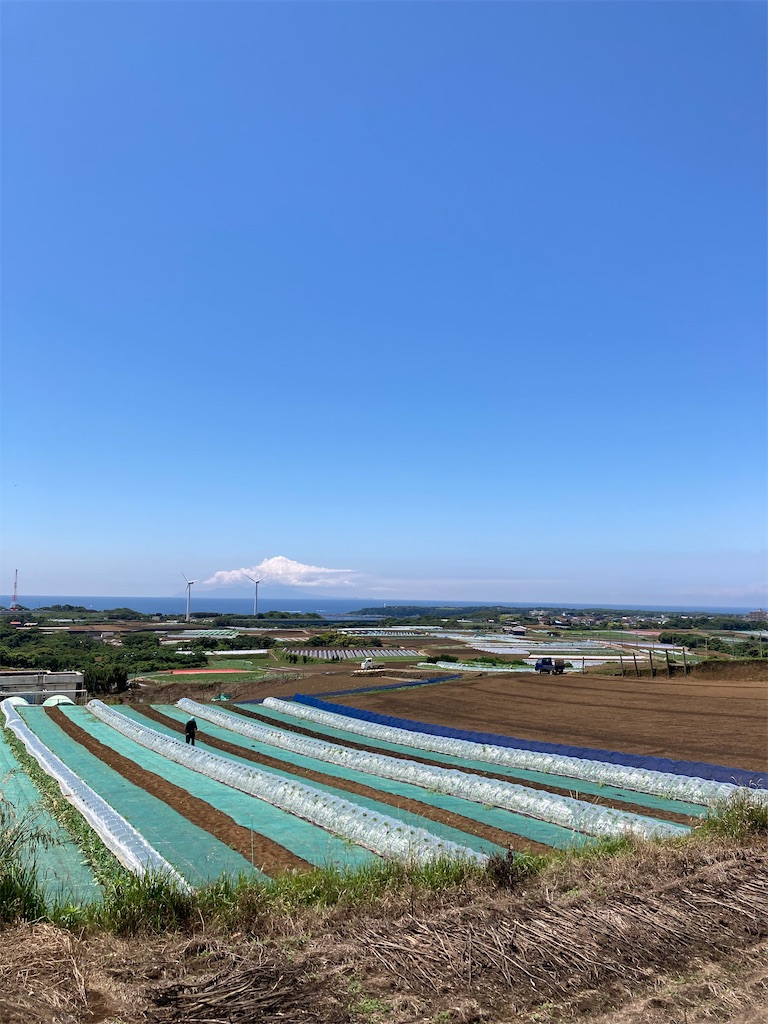 f:id:masaru-arameya:20210523175500j:image f:id:masaru-arameya:20210523175500j:image