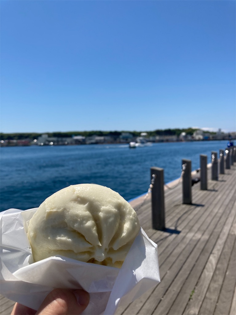 f:id:masaru-arameya:20210523175624j:image f:id:masaru-arameya:20210523175624j:image