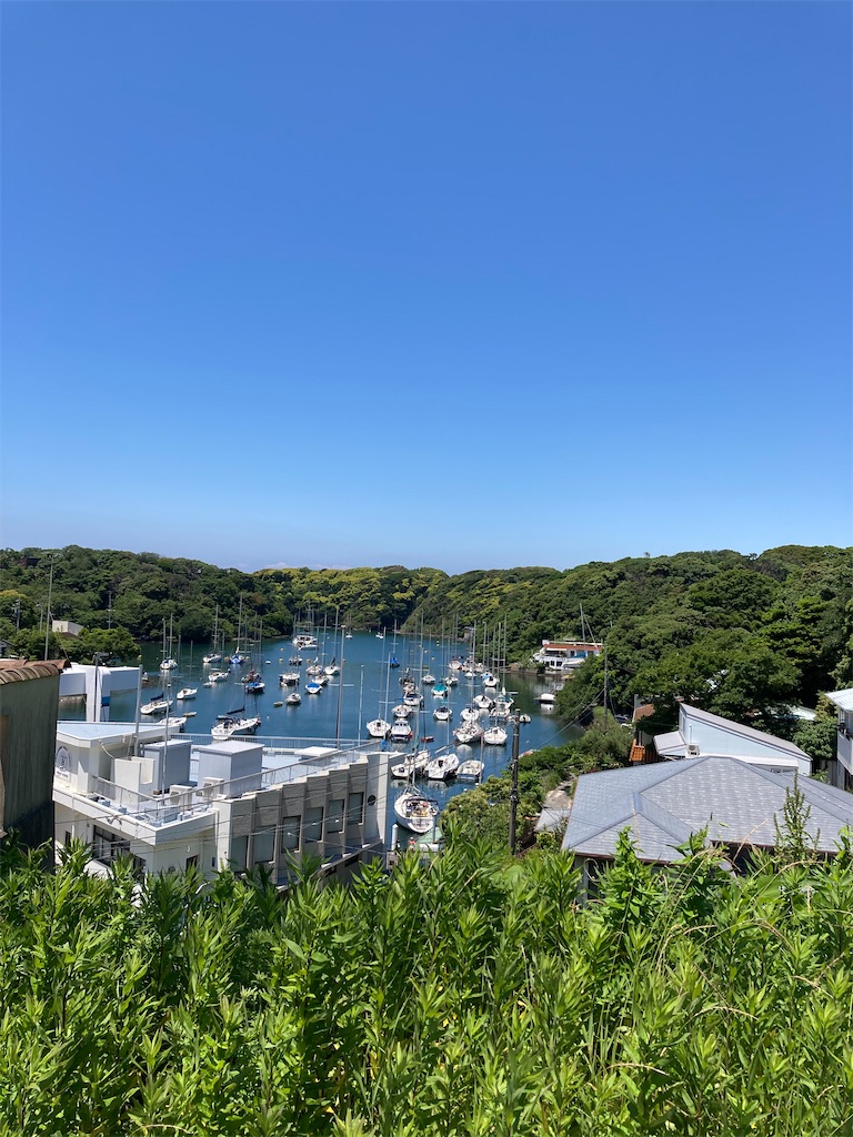 f:id:masaru-arameya:20210523175739j:image f:id:masaru-arameya:20210523175739j:image
