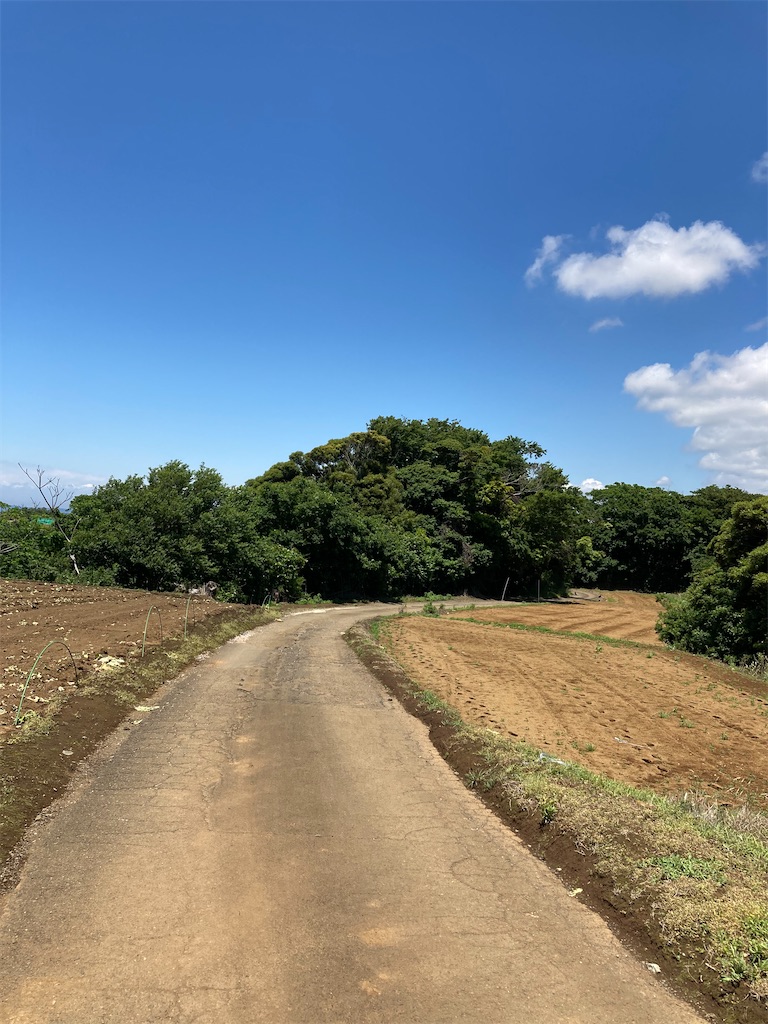 f:id:masaru-arameya:20210523181016j:image f:id:masaru-arameya:20210523181016j:image