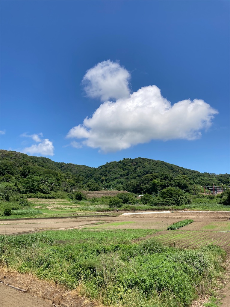 f:id:masaru-arameya:20210523181229j:image f:id:masaru-arameya:20210523181229j:image