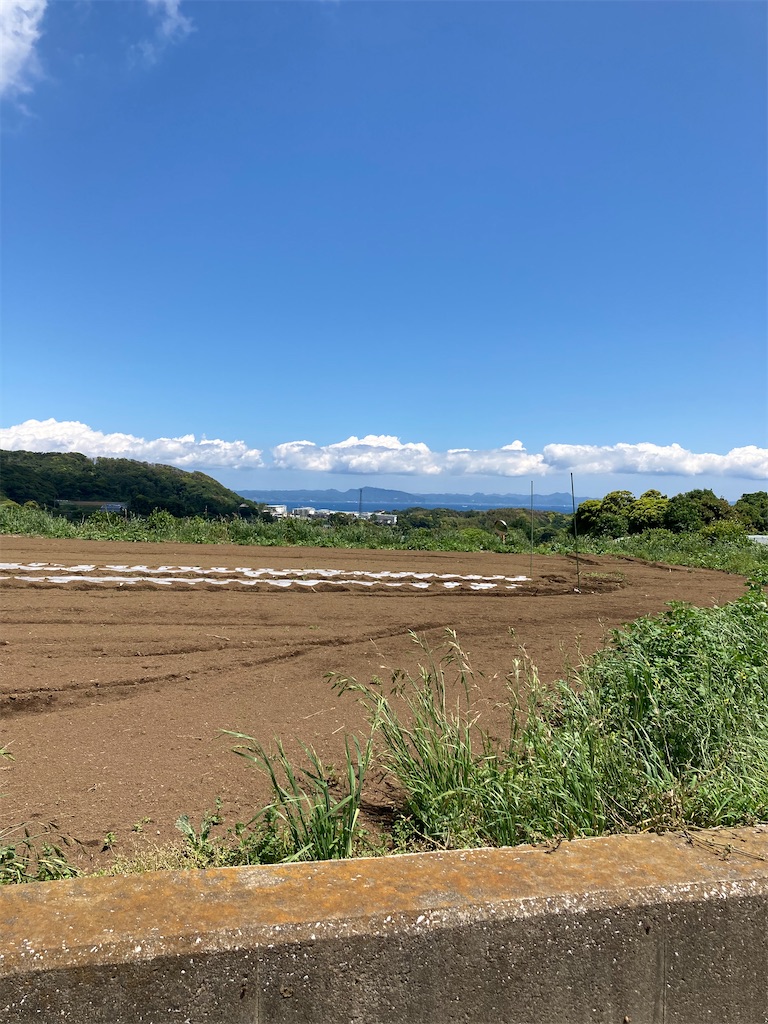 f:id:masaru-arameya:20210523181328j:image f:id:masaru-arameya:20210523181328j:image