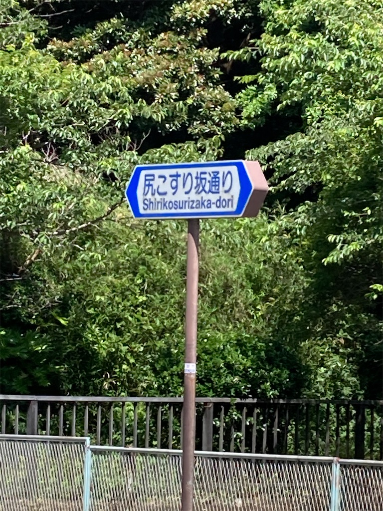 f:id:masaru-arameya:20210523181426j:image f:id:masaru-arameya:20210523181426j:image