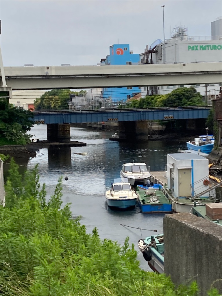 f:id:masaru-arameya:20210529150424j:image f:id:masaru-arameya:20210529150424j:image