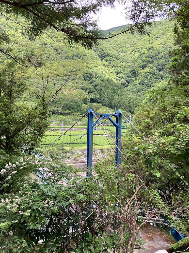 f:id:masaru-arameya:20210603202214j:image f:id:masaru-arameya:20210603202214j:image