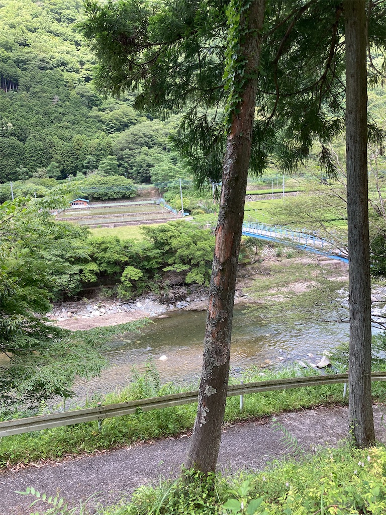 f:id:masaru-arameya:20210603202222j:image f:id:masaru-arameya:20210603202222j:image