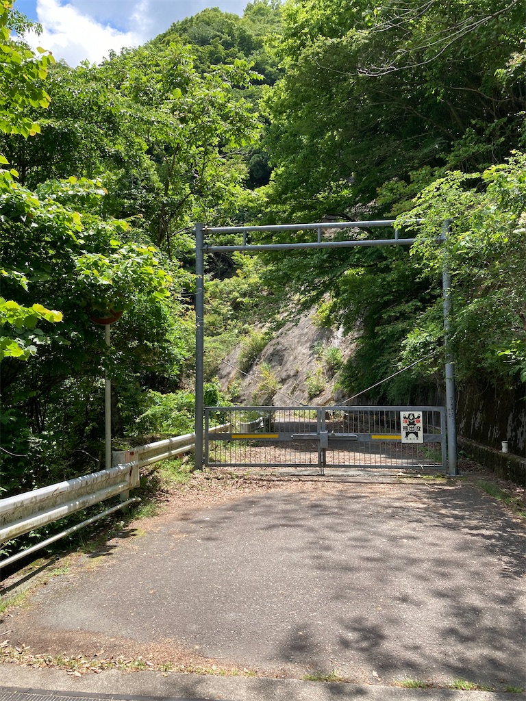 f:id:masaru-arameya:20210603204858j:image f:id:masaru-arameya:20210603204858j:image