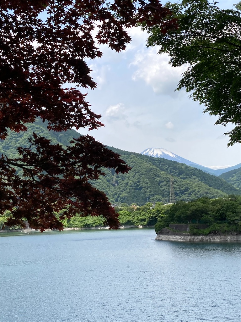 f:id:masaru-arameya:20210603205749j:image f:id:masaru-arameya:20210603205749j:image