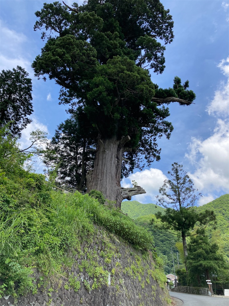 f:id:masaru-arameya:20210603210147j:image f:id:masaru-arameya:20210603210147j:image