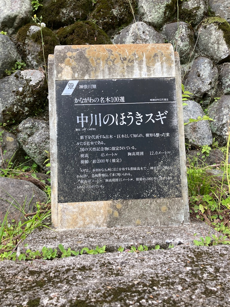 f:id:masaru-arameya:20210603210830j:image f:id:masaru-arameya:20210603210830j:image